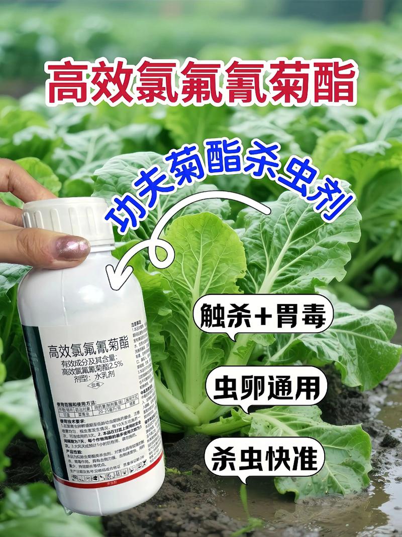 焦作代生中心:农药对供卵代生妈妈的危害